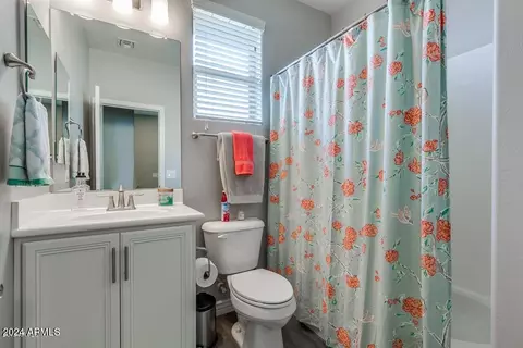 Bath - 2685 E Daniel Dr, Gilbert, AZ 85298 photo 4 of 4