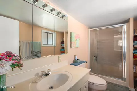 3833 E Alder Ave, Mesa, AZ 85206 photo 13