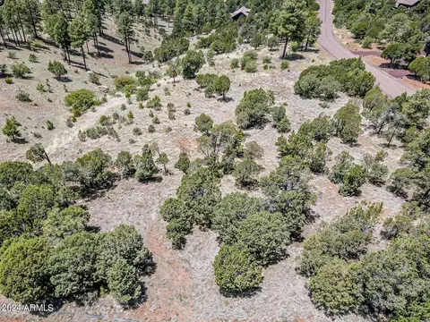 2296 Constellation Cir #93, Overgaard, AZ 85933 photo 3