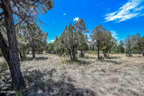 2296 Constellation Cir #93, Overgaard, AZ 85933 photo 6