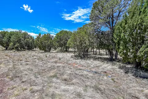 2296 Constellation Cir #93, Overgaard, AZ 85933 photo 5