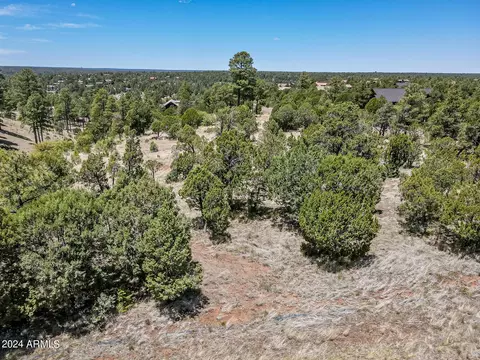2296 Constellation Cir #93, Overgaard, AZ 85933 photo 4