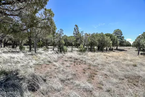 2296 Constellation Cir #93, Overgaard, AZ 85933 photo 7