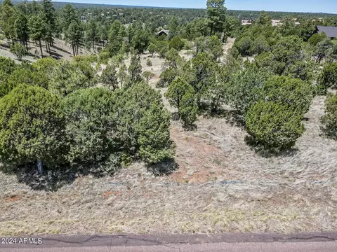 2296 Constellation Cir #93, Overgaard, AZ 85933 photo 2