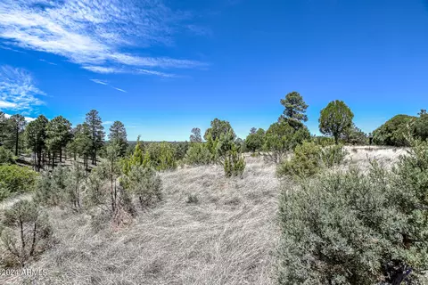 2296 Constellation Cir #93, Overgaard, AZ 85933 photo 8