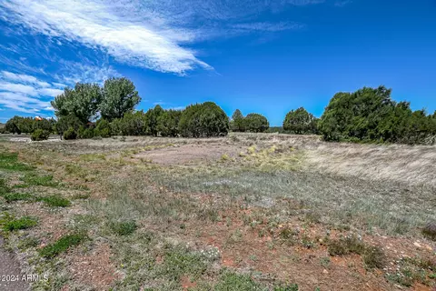 2779 Constellation Ln #-, Overgaard, AZ 85933 photo 5