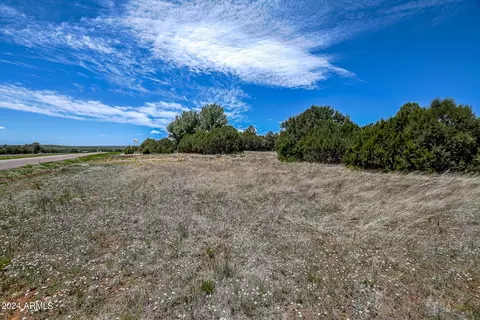 2779 Constellation Ln #-, Overgaard, AZ 85933 photo 6