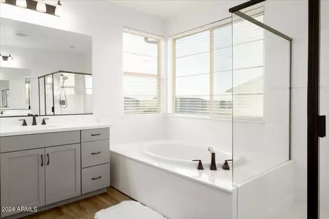 Bath - 3762 E Sagebrush St, Gilbert, AZ 85296 photo 4 of 7
