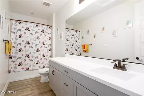 Bath - 3762 E Sagebrush St, Gilbert, AZ 85296 photo 7 of 7