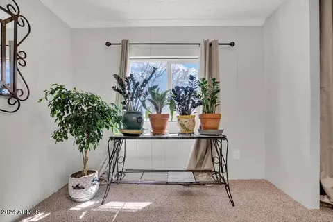 176 N Ruth Rd, Benson, AZ 85602 photo 25