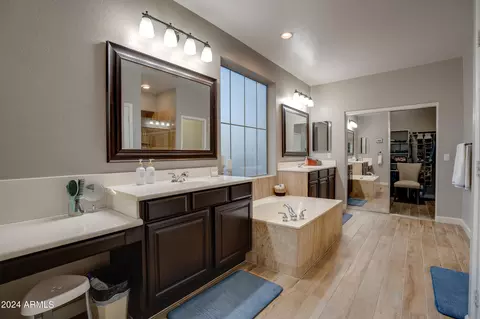 Bath - 3328 E Vaughn Ave, Gilbert, AZ 85234 photo 2 of 5