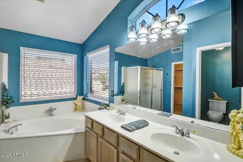 Bath - 1018 E Silverwood Dr, Phoenix, AZ 85048 photo 2 of 4