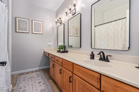 Bath - 1648 E Kramer St, Mesa, AZ 85203 photo 4 of 6