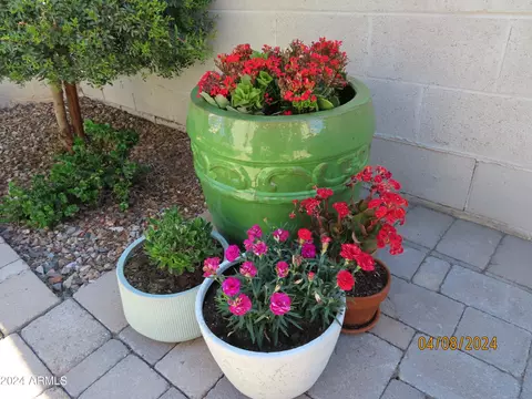 Other - 701 S Oak St, Gilbert, AZ 85233 photo 10 of 17