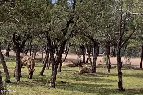 View/Area - 3981 N Mistletoe Dr, Pine, AZ 85544 photo 2 of 2