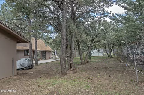 View/Area - 3981 N Mistletoe Dr, Pine, AZ 85544 photo 1 of 2