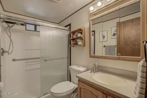 Bath - 3981 N Mistletoe Dr, Pine, AZ 85544 photo 1 of 3