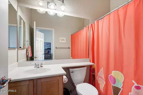 Bath - 2826 E Washington Ct, Gilbert, AZ 85234 photo 3 of 4