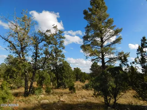 8276 Haven Crest Dr #220, Happy Jack, AZ 86024
