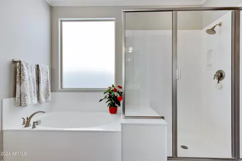 Bath - 10725 E Kinetic Dr, Mesa, AZ 85212 photo 5 of 6