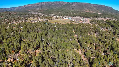 View/Area - 3751 N Hunt Dr, Pine, AZ 85544 photo 15 of 15