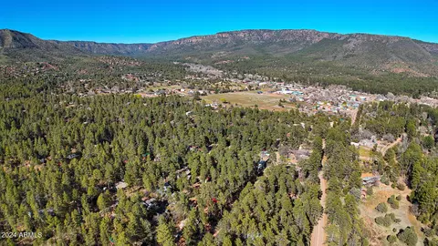 View/Area - 3751 N Hunt Dr, Pine, AZ 85544 photo 12 of 15