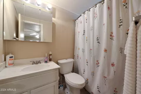 Bath - 3751 N Hunt Dr, Pine, AZ 85544 photo 1 of 3
