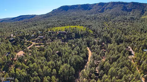View/Area - 3751 N Hunt Dr, Pine, AZ 85544 photo 13 of 15