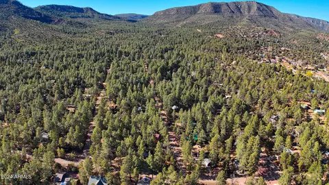 View/Area - 3751 N Hunt Dr, Pine, AZ 85544 photo 10 of 15