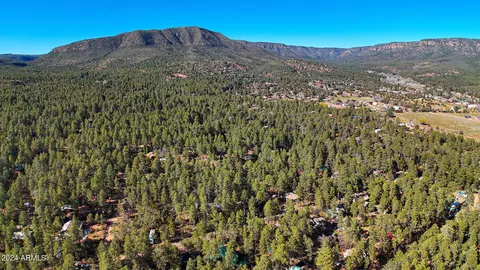 View/Area - 3751 N Hunt Dr, Pine, AZ 85544 photo 11 of 15
