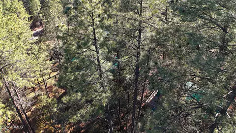 Other - 3751 N Hunt Dr, Pine, AZ 85544 photo 7 of 7