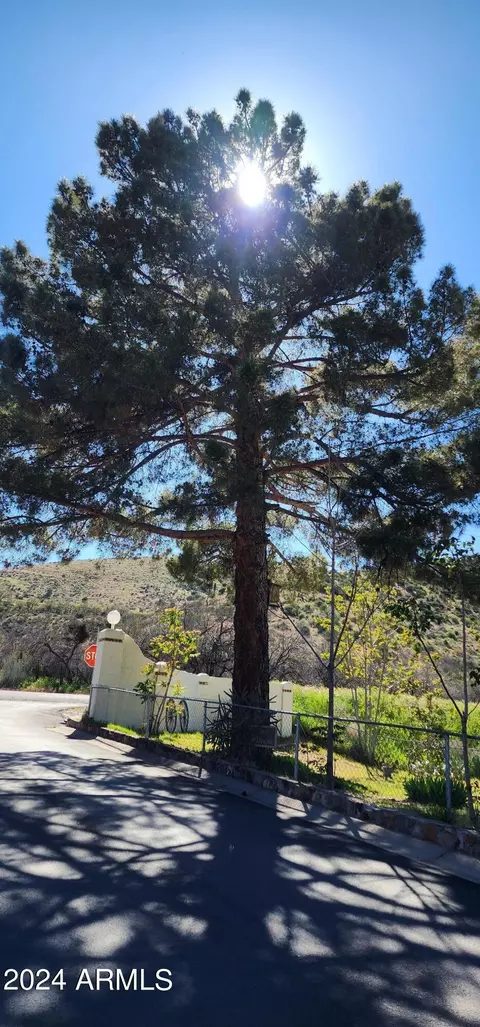 2165 N Wheatfields Rd, Globe, AZ 85501 photo 11