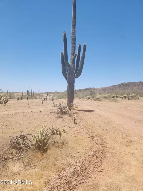 294 W Nn W Olesen Rd #41, Wittmann, AZ 85361