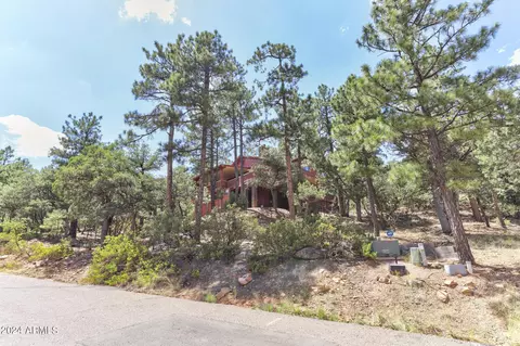 Exterior - 5281 N Canyon View St, Pine, AZ 85544 photo 15 of 17