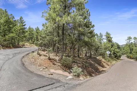 View/Area - 5281 N Canyon View St, Pine, AZ 85544 photo 1 of 7