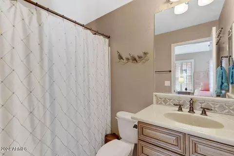 Bath - 1639 E Lowell Ave, Gilbert, AZ 85295 photo 1 of 2