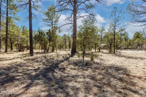 2089 Chevelon Rd, Overgaard, AZ 85933 photo 28