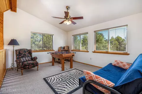 2089 Chevelon Rd, Overgaard, AZ 85933 photo 14
