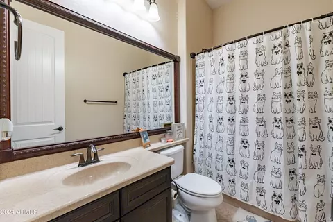 Bath - 2434 E Prescott St, Gilbert, AZ 85298 photo 3 of 5
