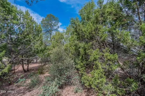 View/Area - 501 E Phoenix St, Payson, AZ 85541 photo 3 of 4