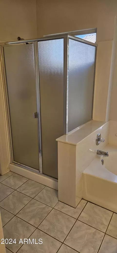 Bath - 1263 E Century Ave, Gilbert, AZ 85296 photo 5 of 8