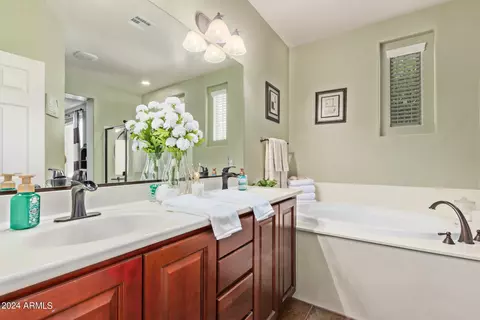 Bath - 1840 S Sinova Ave, Gilbert, AZ 85295 photo 3 of 7