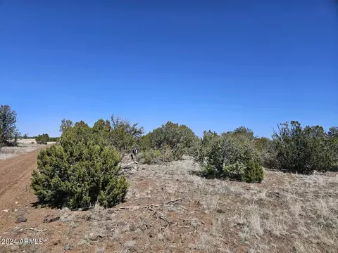 3 Yellow Rose -- # G, Show Low, AZ 85901