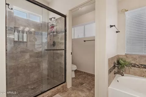 Bath - 345 W Bruce Ave, Gilbert, AZ 85233 photo 3 of 4