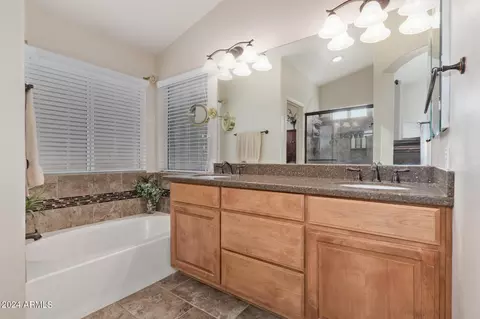 Bath - 345 W Bruce Ave, Gilbert, AZ 85233 photo 2 of 4