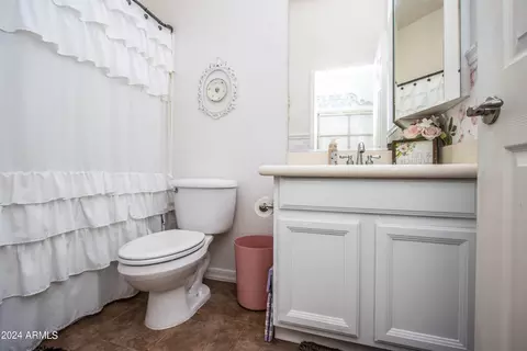 Bath - 10605 E Kilarea Ave, Mesa, AZ 85209 photo 3 of 5