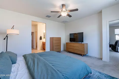 8236 E Jan Ave, Mesa, AZ 85209 photo 17
