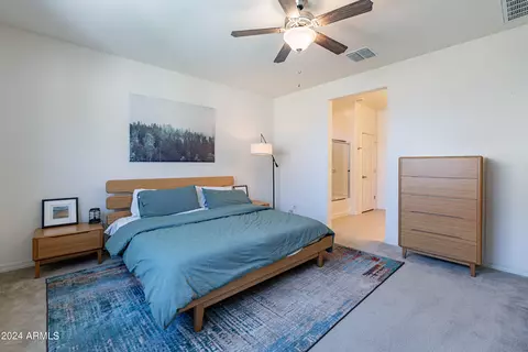 8236 E Jan Ave, Mesa, AZ 85209 photo 16