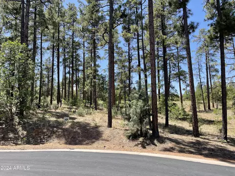 1960 Silvertree Ln #21, Show Low, AZ 85901