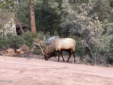 View/Area - 508 E Park Dr, Payson, AZ 85541 photo 1 of 1